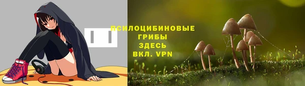 бошки Алзамай