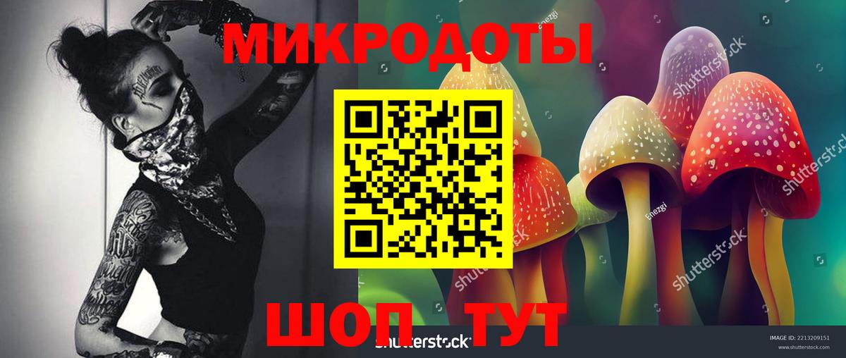 Чайковский  Псилоцибиновые грибы Psilocybe  Вход с VPN 